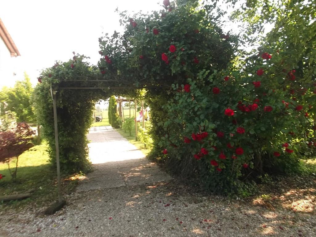 Agriturismo La Prateria Gazzo (Veneto) Exterior foto